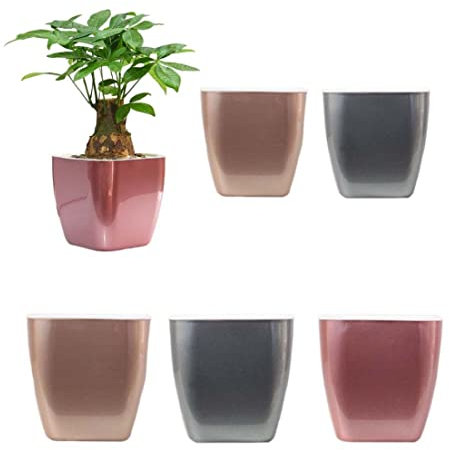 BEAHING Selbstbewässerungstöpfe Selbstbewässerungsplanter Plastikblumentöpfe für Innenpflanzen Orchidee afrikanische Violette Home Dekoration