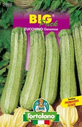 Sementi orticole di qualità l'ortolano in busta termosaldata (160 varietà) (ZUCCHINO GENOVESE)