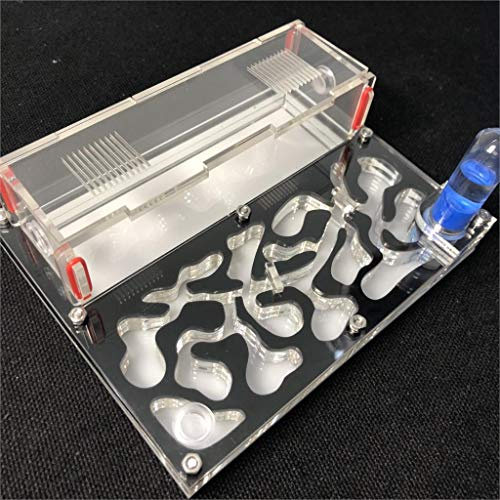 Ant Farm Educational formicarium for LIVE ants test tube Moisture big space Acrylic Ant Nest,Insect ants Villa House Ants Ecological Workshop (black)
