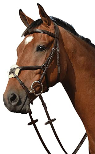 Collegiate Syntovia+ Padded Raised Figure 8 Bridle, Brown, Full