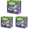 LOYD® Früchtetee Tee | 20 Teebeutel 40g | Geschmack: Schwarze Johannisbeere mit Holunderblüten | Aromatisiert Obst Frucht Früchte Fruit Tea | Hochwertigen Teeblättern Schwarzteebeutel Aufbrühen