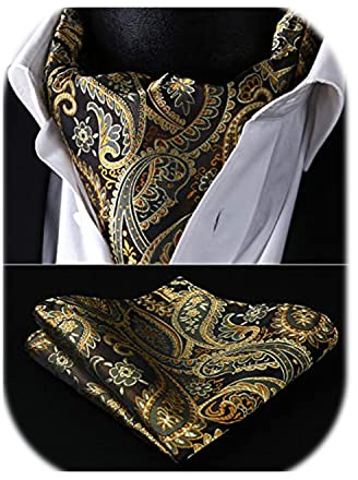 HISDERN Ascot brun doré Homme Paisley Cravates Jacquard Mariage Foulard Floral Élégant Ensemble Cravate Classique et Pochette pour Business
