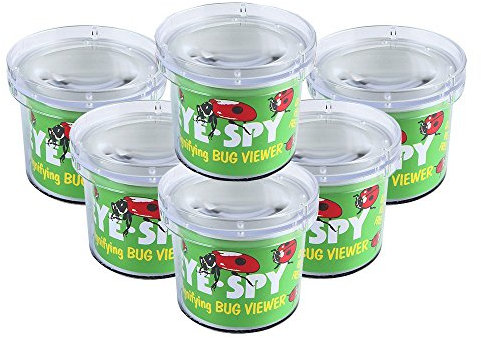AlleTechPlus Lupendose 6 teilige Insektenlupe Bug Catchers Kinder Mikroskop, Natürliche Forschungsspielzeug pädagogische Spielzeug