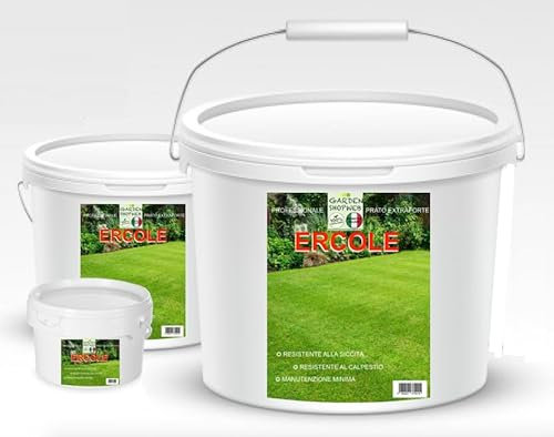 SEMI PRATO resistente - sementi prato resistenti alla siccità - seme prato poca acqua - calpestabile - adatti a tutti i luoghi e tipi di terreno (1500 Gr per 60 Mquadri)