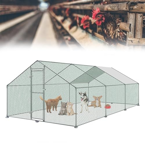 HENGMEI Pollaio 3 x 6 x 2 m, gabbie per pollame, gabbie per piccoli animali, struttura in acciaio zincato con tetto in polietilene, pollaio esterno con serratura