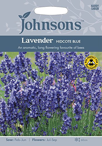 Johnsons 13659 Flower Seeds, Lavender Hidcote Blue