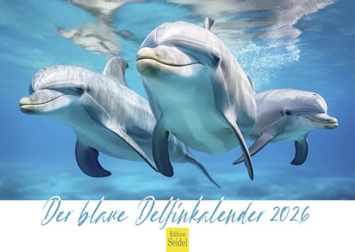 Edition Seidel Premium kalender den blå delfinkalendern 2026 format DIN A4 väggkalender djurkalender delfin däggdjur hav ocean
