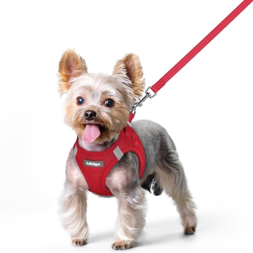 rabbitgoo Arnes Perro Pequeño con Correa Reflectante, Rojo XS, Chaleco Perro Ajustable Fácil de Poner, Arnes Antitirones de Malla Suave Transpirable, Arnés para Perros Pequeños Cachorros
