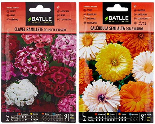 Semillas Batlle - Clavel RAMILLETE del Poeta Vdo. & Caléndula semi alta doble variada