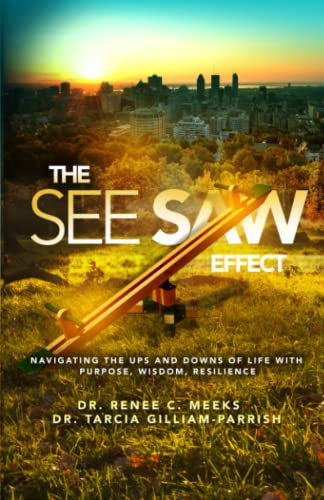 The Seesaw Effect: Navigating the Ups and Downs of Life with Purpose, Wisdom, and Resilience