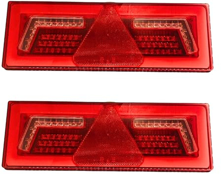 Web Truck 2 bombillas LED izquierda y derecha de 12/24 V, luz trasera, intermitente, luz de marcha con 6 funciones