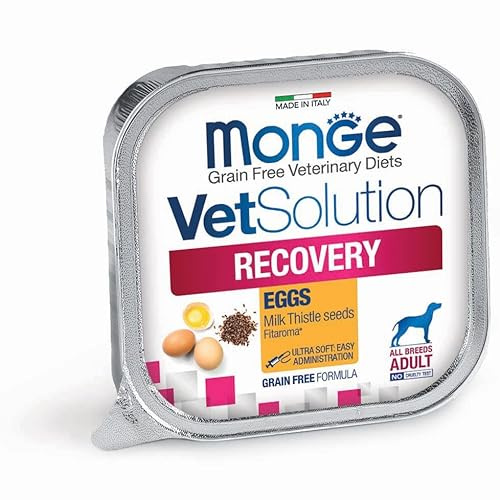 MONGE VET SOLUTION GATTO RECOVERY GR.100 - confezione da 12