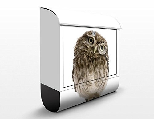 Briefkasten mit Zeitungsrolle I Neugierige Eule 46cm x 39cm