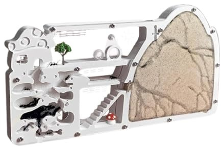 Fattoria Di Formiche Castello Della Fattoria Delle Formiche Kit Di Strumenti For La Fattoria Delle Formiche Osservazione Delle Formiche Kit Scientifico For L'osservazione Delle Formiche Nido Di Formic