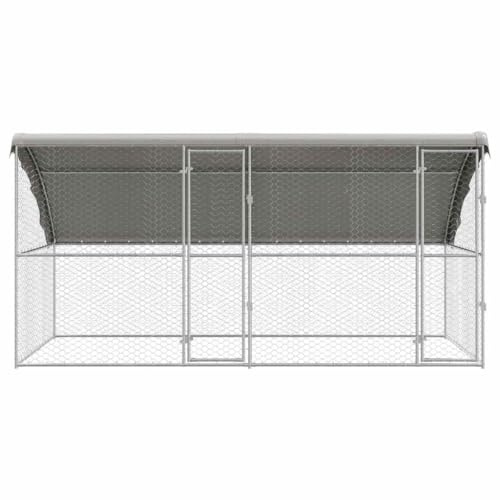 Versear Box per Cani da Esterno, Cuccia Cane Esterno, Gabbia Cani, Cuccia per Cani 2 pz Argento 4x2x2 m Acciaio