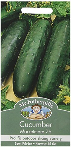 Mr Fothergill's 15883 Marketmore 76 Cucumber Seeds, orange