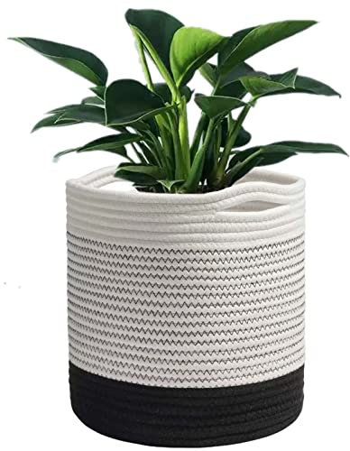 KMERCE Cesta para Plantas, macetas de Fibra de algodónc, Cestas Trenzadas Maceta con asa, Macetas para decoración Interior, Cesta Plegable de Almacenamiento para el hogar, diámetro de 20 cm