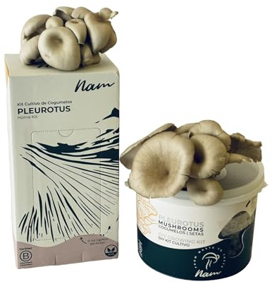 Nam - Kit Autocultivo Setas Ostras, Begginer Bundle, Hongos Incubados, Cultivo Casero en 10 Días, Fácil para Cosechar Champiñones Frescos, Mini Huerto Urbano