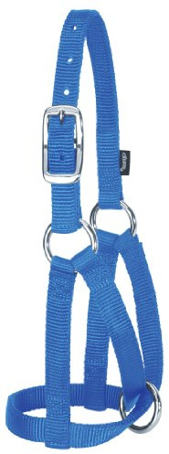 WEAVER Llama Halters: Blue: Full