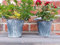meytrade Blumentopf (2er Set) Kräuter Topf Vintage Landhaus grau blau Gartendeko Vase Eimer Übertopf Antik mit Holzgriff