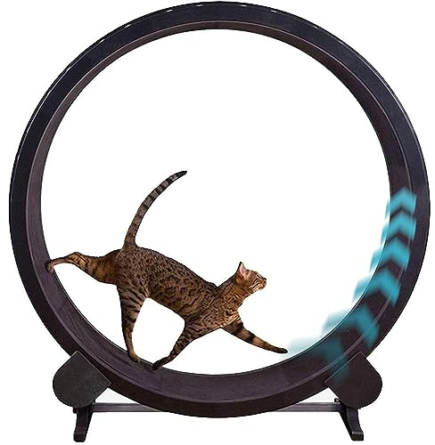 Roller Cat Running Wheel, löpande hjul för husdjur, träningsutrustning för viktminskning, sportleksak för katter, för längre kattliv
