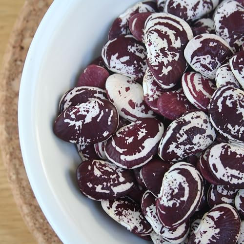 PREMIER SEEDS DIRECT - Bean - Lima O DEL PAPA - 30 Finest Italian Seeds