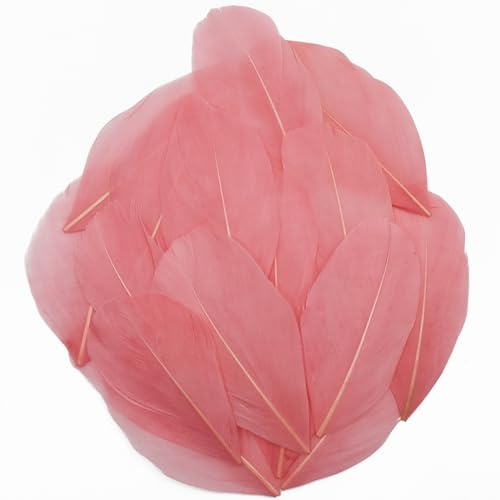 50 Pcs Watermelon Red Craft Feathers, Natural Assorted Colors Goose Feathers for Hats, 2-3 Inch Small Feathers for Crafts, DIY Christmas Hallowmas Thanksgiving Mask Centerpiece Feather