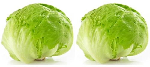 Fresh Iceberg Lettuce I Fresh & Crunchy I Pack of 2
