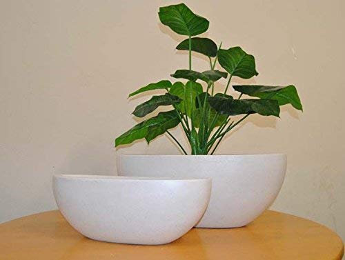 Elegant Einrichten Pflanzschale Fiberglas oval 65x31xH25cm Perlmutt weiß.