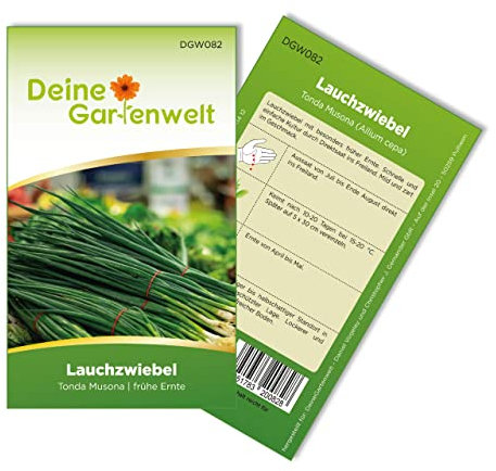 Lauchzwiebeln Tonda musona Samen - Allium cepa - Lauchzwiebelnsamen - Gemüsesamen - Saatgut für 100 Pflanzen