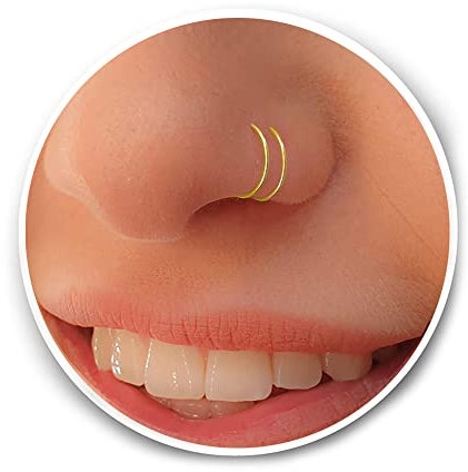 Tiny Gold Double Hoop Nose Ring - Spiral Nose Ring 20 Gauge Snug Double Nose Piercing Thin Nose Piercings Hoops (gold-filled)