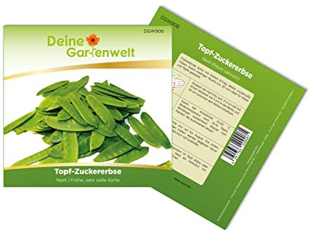 Topf-Zuckererbsen Norli Samen - Pisum sativum - Erbsensamen - Gemüsesamen - Saatgut für 55 Pflanzen