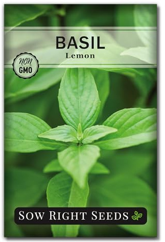 Sow Right Seeds - Lemon Basil Seed for Planting - Non-GMO Heirloom Packet with Instructions to Grow a Kitchen Herb Garden - Indoors or Outdoor - Great for Hydroponic Gardening, Lemony Flavor (1)