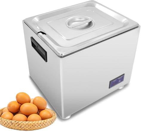 Cocedor de huevos comercial de acero inoxidable, cocedor de huevos de aguas termales de 2600 W, gran capacidad de 10 L, adecuado para restaurantes/hoteles/cocinas, 220 V