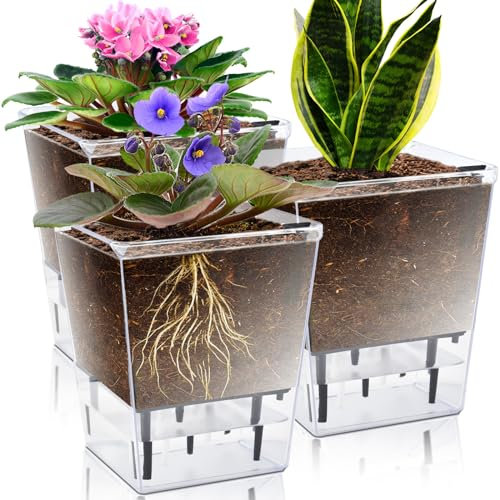 IWNTWY Juego de macetas de autorriego, paquete de 3 macetas de autorriego de 5 pulgadas para plantas de interior, maceta transparente con depósito profundo para plantas de araña, orquídea, violeta