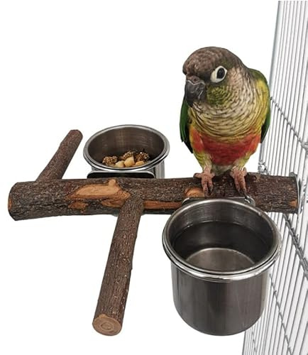 Stainless Steel Bird Feeding Bowl with Wooden Perch for Parakeets, Budgies, Lovebirds and Parrots
