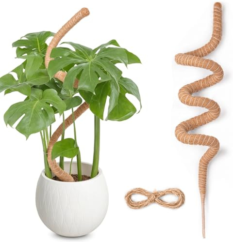 Tutores para Plantas, SproutMaven 160 cm de Poste de Musgo de Monstera, Trepadoras Estacas Hechas a Mano para Plantas de Interior