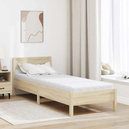Frdhee Materasso ergonomico per notti rilassanti, materasso con strato di cocco bianco 200 x 80 cm in schiuma PU per camera degli ospiti, letto degli ospiti, confortevole ambiente di sonno