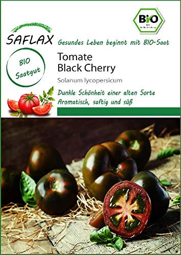 Saflax 18203 tomat svart körsbär (ekologiska tomatfrön)
