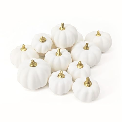 12 Pièces Artificielles Citrouille de Décoration Automne, Fausse Mini Citrouille blanche Différentes Tailles Mousse Citrouille Decorative pour Deco Automne Maison Thanksgiving Halloween Fête (Blanc)