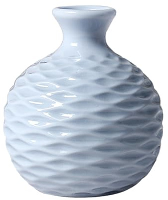 Alipis Jarrón de Cerámica Mini para Hidropónico 2 Piezas Florero Artístico Pequeño para Decoración del Hogar y Escritorio Maceta Decorativa para Arreglos