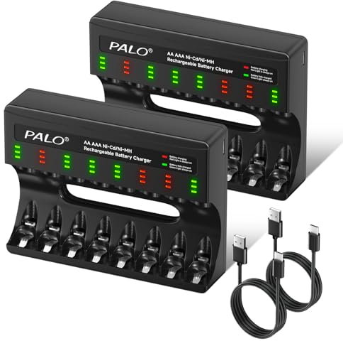 CITYORK Cargador de batería de 8 ranuras para NIMH/NICD recargable AA AAA Micro USB, carga rápida con indicador LED (2 unidades de cargador + ranura independiente)
