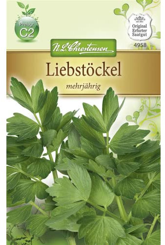 Chrestensen Liebstöckel 'mehrjährig'