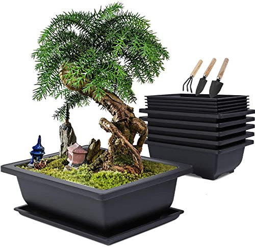MissFox Bonsai Schale mit Untersetzer, Bonsai Trainingstöpfe aus Kunststoff, Klein Pflanztopf für Garten, 6 Stücke Blumentöpfe Rechteckig mit 6 Tablett und 3 Mini Gartenwerkzeug Set, 16x12x6cm