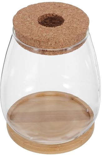 Hohopeti Lot de 2 Sets de Vases Hydroponiques en Verre pour Propagation des Plantes avec Bouchon en Liège et Plateau en Bambou, Grand Format, Contenants à Eau pour Culture Indoor,
