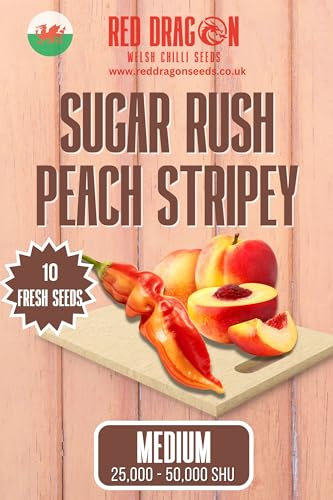 Sugar Rush Peach Stripey Chilli Seeds - Sugar Rush Peach Pepper Seeds