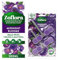 Zoflora Rim Block Midnight Blooms (2x) & Concentrate Midnight Blooms (1 x 500ml), Deodorizer For Toilet, Antibacterial Multi-Surface Cleaner, Kills 99,9% of Bacteria & Viruses