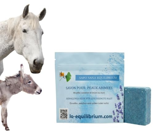 Sapo Sana Equilibrium – Dermite du cheval - Savon Nettoie et protège les Zones Cutanées Sensibles et Fragilisées – Lavande, Sulfate et Huiles Végétales