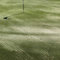 Samore 25 kg Spezial Rasensand Rasen 0,4-0,8 mm (H1) Sand Grassand Gras Rasenpflege Spezialsand Quarzsand Düngehilfsstoff zur Bodenverbesserung