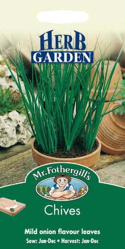 Mr Fothergills - Pictorial Packet - Herb - Chives - 750 Seeds